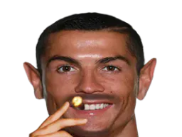 :lutin: