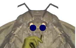 :Moth_0:
