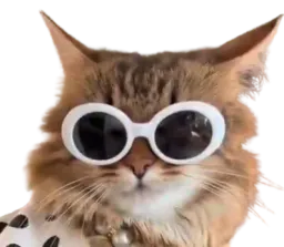 :chat_star: