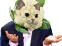 :SodiumChouxfleur: