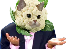 :SodiumChouxfleur:
