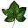 Photo de profil de Hedera