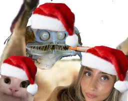 :Poisson_lili:
