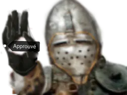 :Chevalier_approuve:
