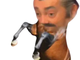 :cheval_risitas: