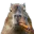 Photo de profil de Cocomatron