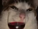 :Chat_vin: