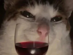 :Chat_vin:
