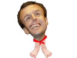 :macronn: