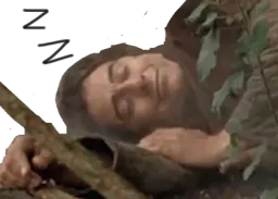 :jacqouille_dort: