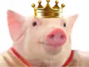 :king_cochon: