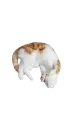 :Chatmort: