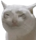 :hhhggg: