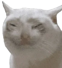 :hhhggg: