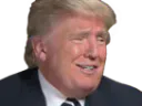 :Donald: