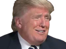 :Donald: