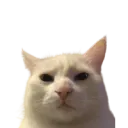 :sus: