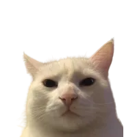 :sus: