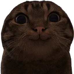 :Chat_marrant_nigga: