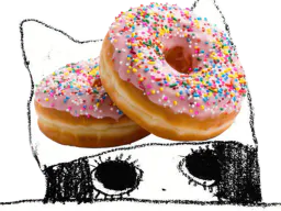 :ChapoDonutFille: