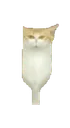:chatmiroirjump:
