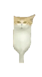 :chatmiroirjump: