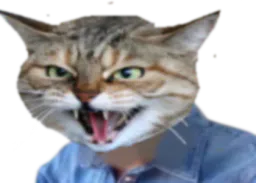 :Chat_rage: