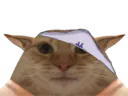 :CulotteChat: