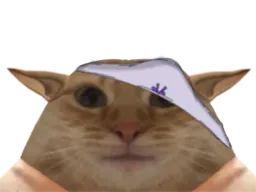 :CulotteChat: