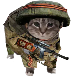 :chatZ:
