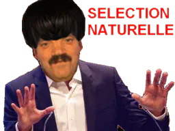 :Selemoumoute:
