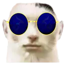 :ChommeLunettes: