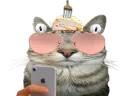 :CS_Cordon: