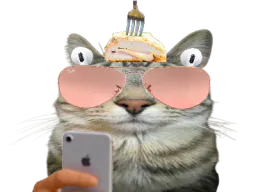 :CS_Cordon:
