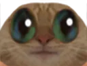 :chieux:
