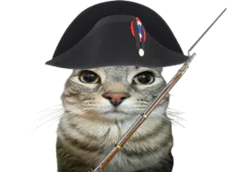 :CS_Napoleon: