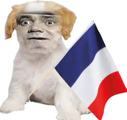 :Chien_Bourdon_France:
