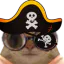Photo de profil de ChatPirate