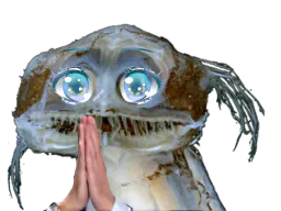:Poisson_priere: