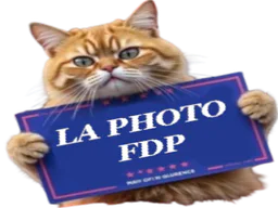 :chafoto: