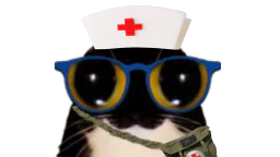 :medic: