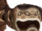 :gange: