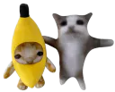 :ehquestcequetudistoidabord: