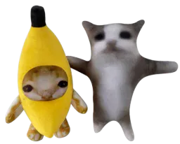 :ehquestcequetudistoidabord: