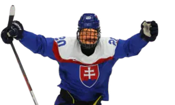 :Hockey1: