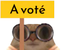 :ChaVote: