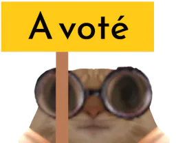 :ChaVote: