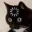 Photo de profil de Sneed