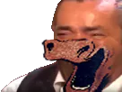 :risi_vache: