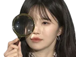 :h_loupe: